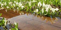 日本を代表する高層湿原の景勝地「尾瀬国立公園」の見どころを紹介！