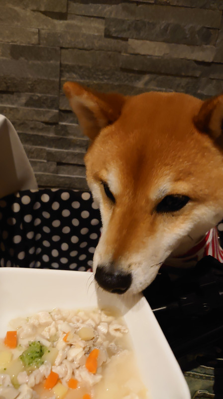 pinky.yuki_go.kam2さんの写真 / 5