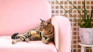 施設内の設備 / 7