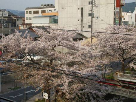 祇をん 新門荘 / 5