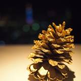 Bar&Lounge MAJESTIC(バーアンドラウンジマジェスティック)