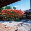 2度目の秋の京都はゆるりと楽しもう。カップルにおすすめ◎紅葉時期のスポット13選