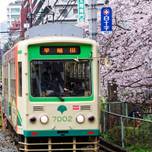 路面電車に乗りに行こう！都電荒川線の車両をご紹介♪