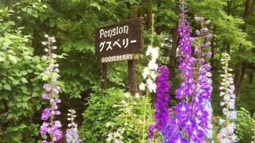 施設の敷地 / 24