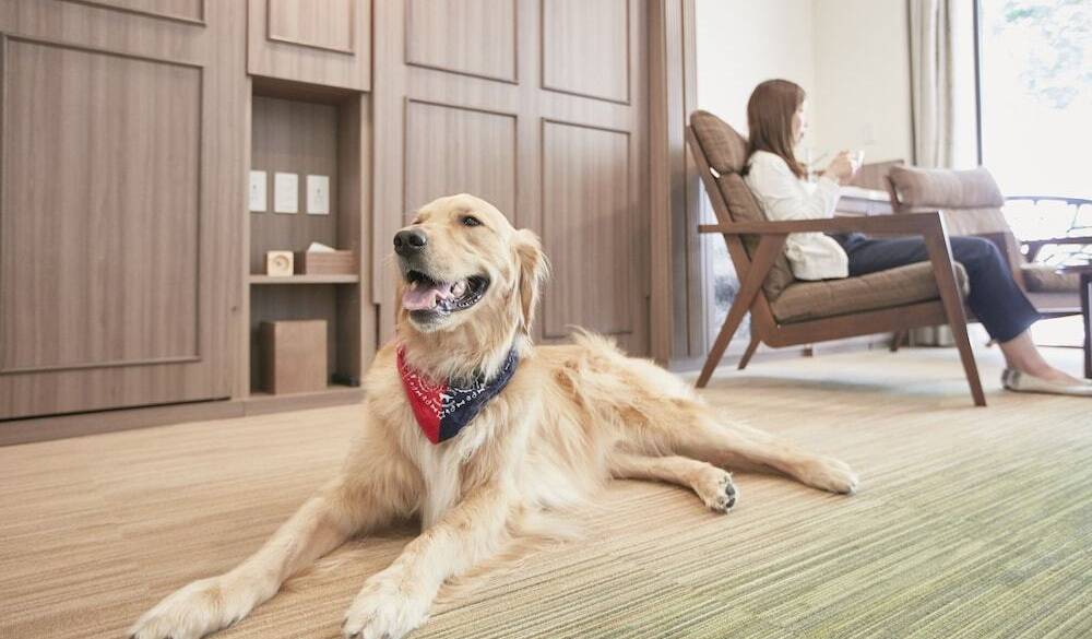 のんびりホテルを楽しみ
チェックアウト / 1