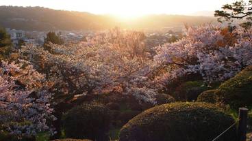 シティ ビュー / 13