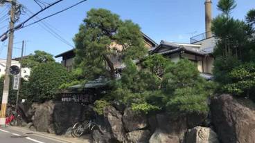 シティ ビュー / 5