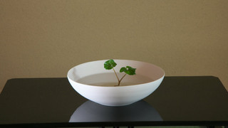 ラグジュアリー スイート 2 ベッドルーム 禁煙 専用バスルーム