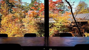 レストラン / 14