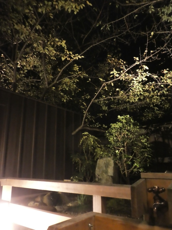 部屋の露天風呂から。