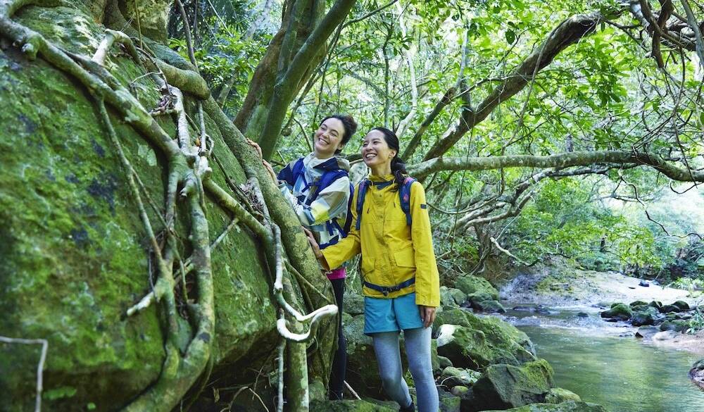 亜熱帯の森トレッキング / 2