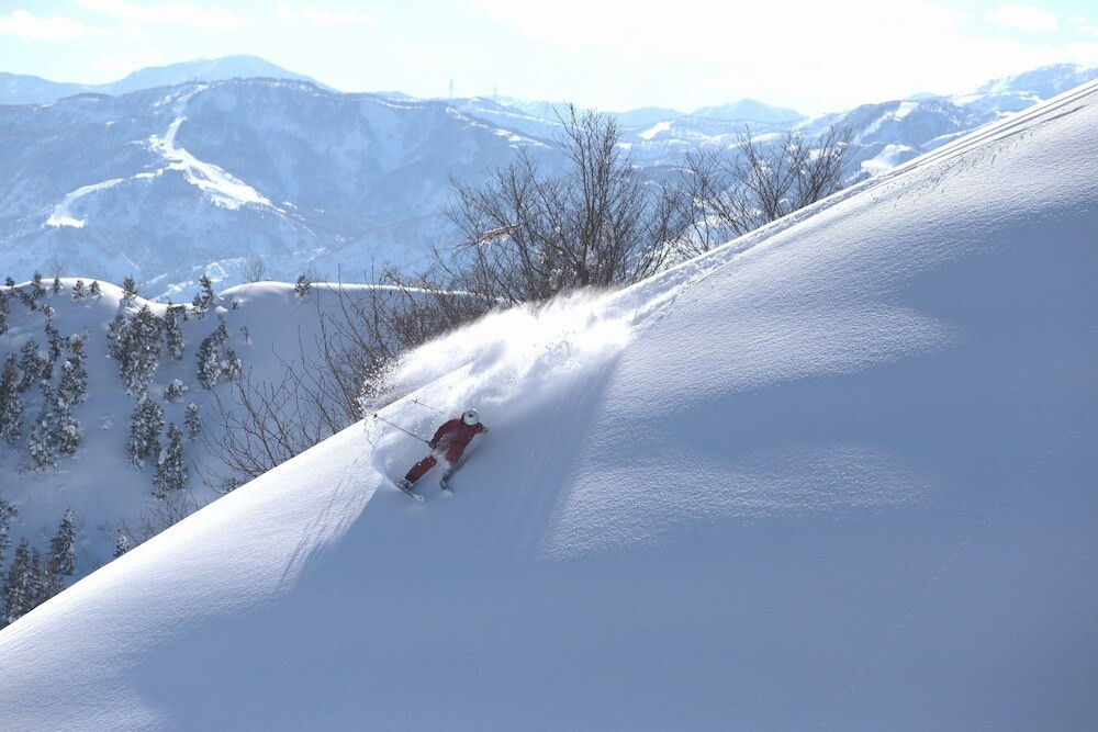 スノー スポーツとスキー