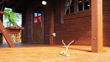 テラス / パティオ / 6