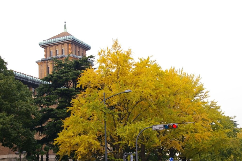 施設からの眺望