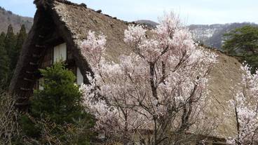 観光スポット / 38