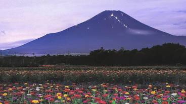 ランド ビュー / 24