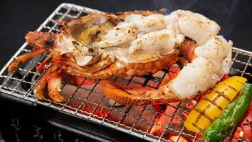 食事・飲み物 / 40