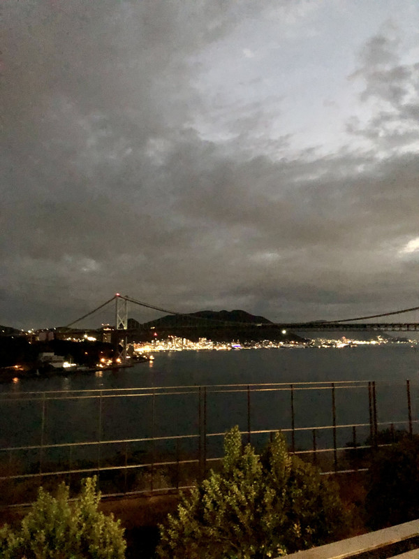 上手く撮れてないけれど実際は綺麗です