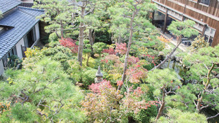 スーペリア スイート 禁煙 ガーデンビュー