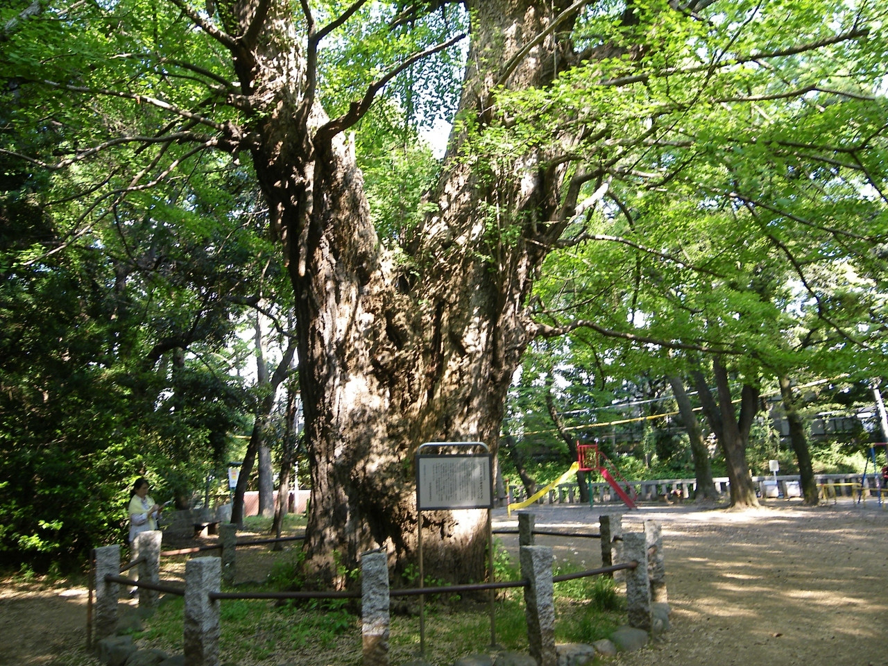 4. 浅野内匠頭の夫人・瑤泉院の実家「赤坂氷川神社」【赤坂】821000
