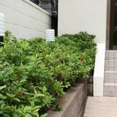 ホテルハナビ(東京都 ビジネスホテル) / 4