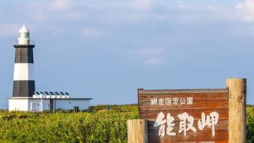 観光スポット / 12