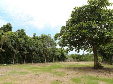 パームヴィラ石垣島 igusa / 5