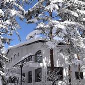 ホワイトホースホテル(長野県 ペンション) / 3