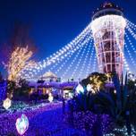 ♡おすすめの過ごし方をご案内♡クリスマスは江ノ島でのんびりデート旅
