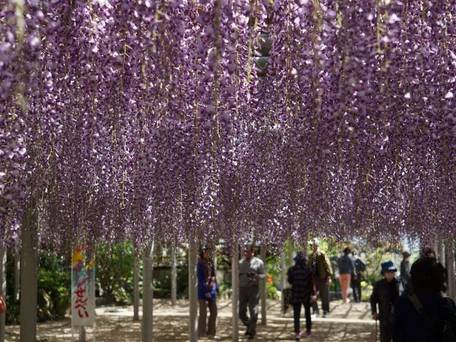 ホテル1-2-3 小倉 / 5