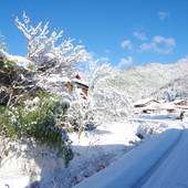 旅荘 茶谷(京都府 民宿) / 5