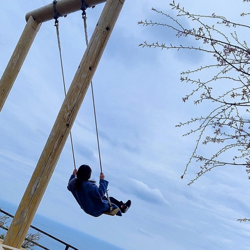 sanchamcawaiiさんの写真 / 5