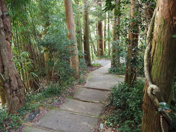 「オーベルジュ土佐山」 その他 139474701 ヴィラ棟へむかう道