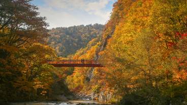 二見吊橋からの眺め 秋 / 6
