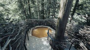 コルボ・デ・オウロ④ / 11