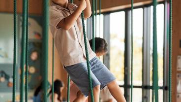 子供用の遊び場 - 屋内 / 6