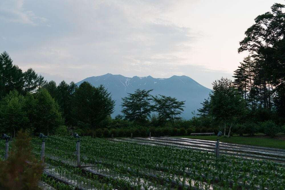 施設からの眺望