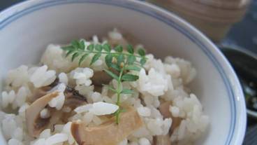 レストラン / 36