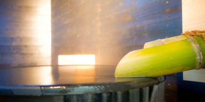 かわもと別邸3466（大分県 コテージ・ロッジ・一棟貸） / 1