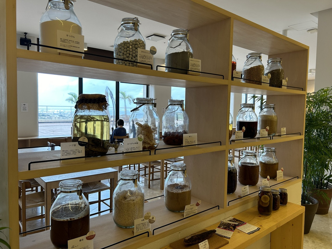 発酵食品の展示。