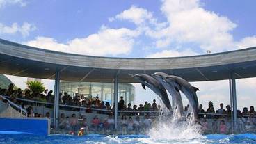 観光スポット / 11