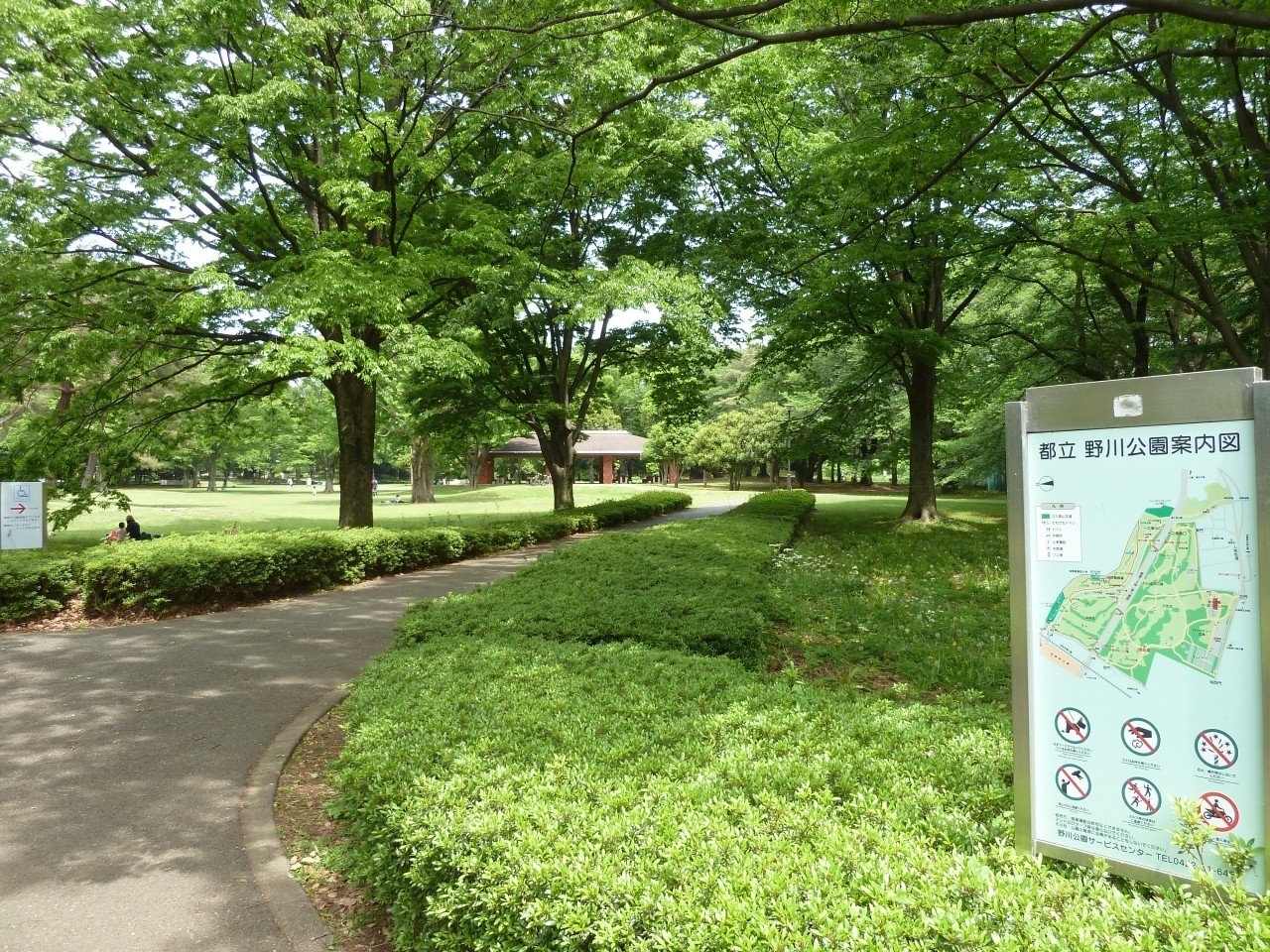 7. 野川公園1153072