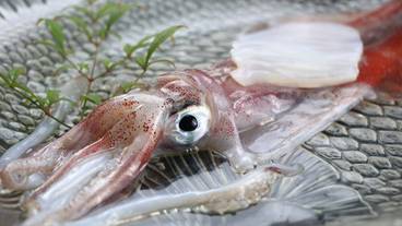 レストラン / 32