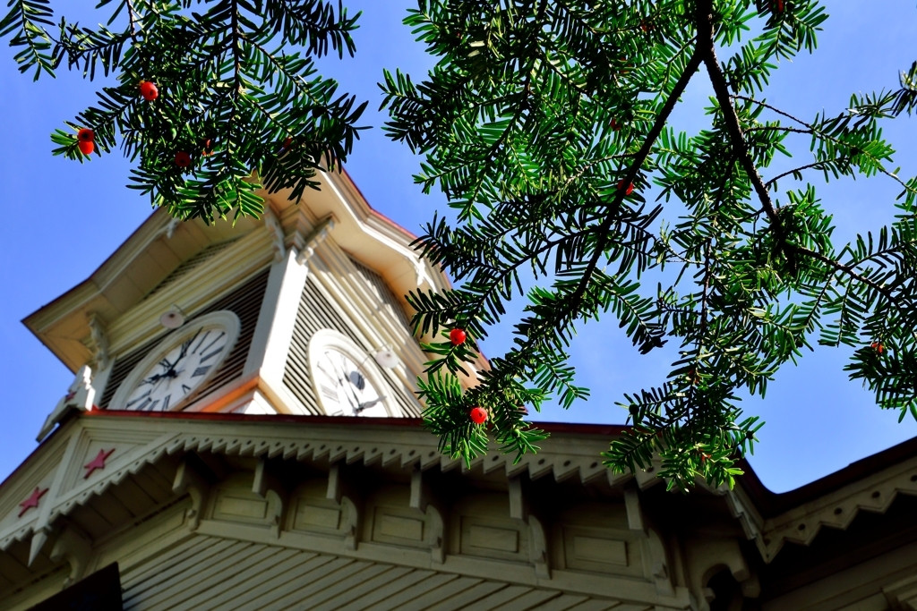 あれもこれも楽しみたい！魅惑の街、札幌3726607