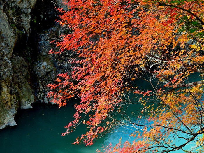 「龍王峡」は、鬼怒川温泉から川治温泉のあいだ、約3キロにわたる渓谷。四季折々の自然に癒されます