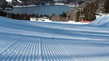 スノーシュー / 16