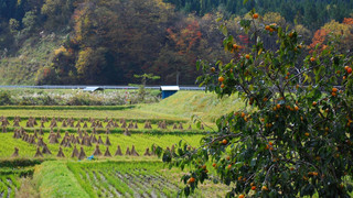 スタンダード ルーム