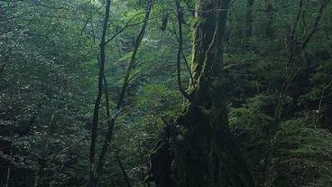 観光スポット / 2