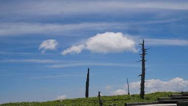 観光スポット / 7