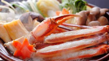 食事・飲み物 / 16